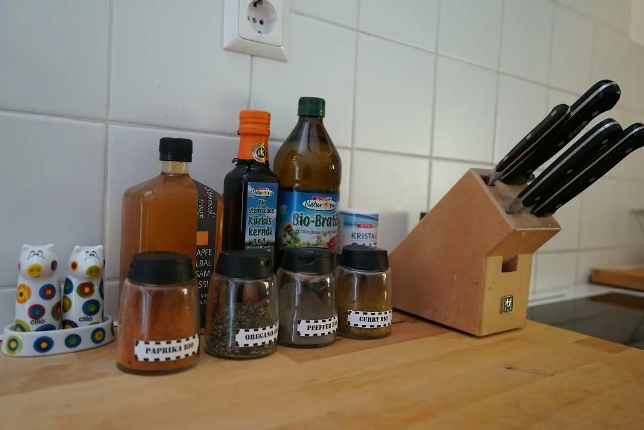 Appartamento Pharmacy-Loft Graz